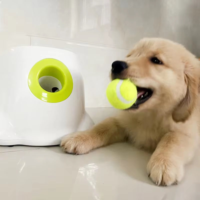 Automatic Tennis Ball Launcher for Dogs - Catapult Style Dog Toy for Pitbulls and Large Breeds
